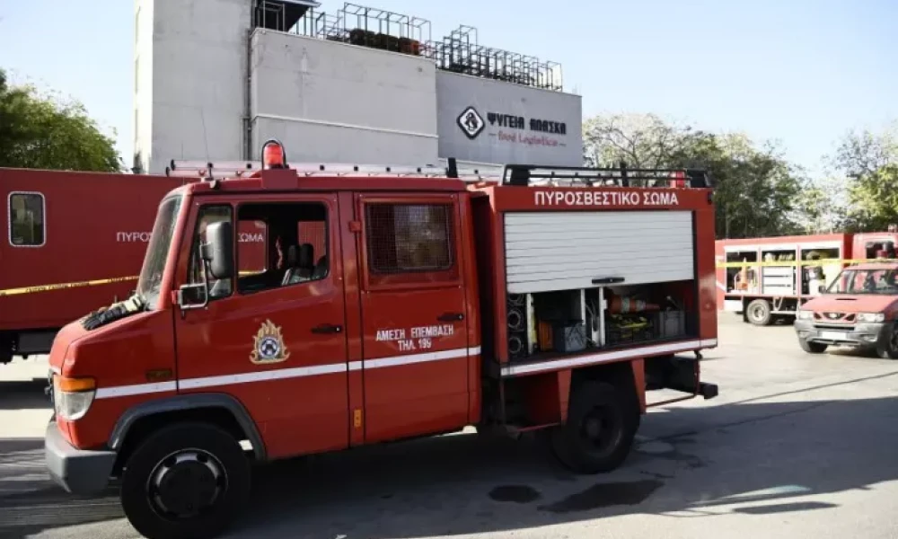 Θεσσαλονίκη: Φωτιά σε δασική έκταση στο Βαϊοχώρι